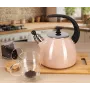 Чайник для плиты Boiling Water 2,5л pink Kamille DP262132