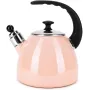 Чайник для плиты Boiling Water 2,5л pink Kamille DP262132