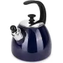 Чайник для плити Boiling Water 2,5л blue Kamille DP262134