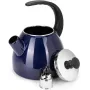 Чайник для плити Boiling Water 2,5л blue Kamille DP262134