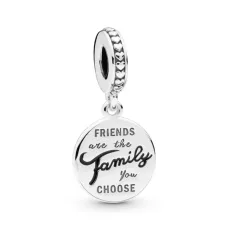 Шарм No Brand Friends are the family you choose 798124EN16 (2552404724)