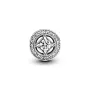 Шарм No Brand Урожайна чарівність 791970CZ (2552658180)
