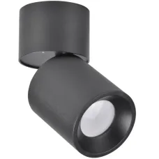 Точковий світильник Polux Nixa 8.2x8.2x17 см Чорний (Pol314246) Точковий світильник Polux Nixa 8.2x8.2x17 см Чорний (Pol314246)