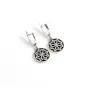 Сережки молвинець Maxi Silver 9541 1.5х3 см Сріблястий