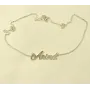 Цепочка с именем Arina Maxi Silver 9067 SE 45 см Серебристый