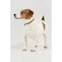 Ошейник No Brand KMK11910 20 x 1 см Разноцветный (2000990377005)