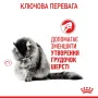 Сухий корм для виведення вовняних грудочок у кішок Royal Canin Hairball Care 400 г (ROYAL2534004)