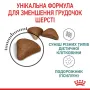 Сухий корм для виведення вовняних грудочок у кішок Royal Canin Hairball Care 400 г (ROYAL2534004)