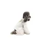 Вишиванка для собак Pet Fashion Ostap XXS Білий (PR243929)