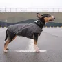 Жилет для собак Pet Fashion E.Vest M Серый (PR242439)