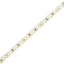 Світлодіодна стрічка Lightwell 5050 120LED 24V 4000k 10mm 5 м White (303015)