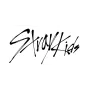 Кружка Orca K-pop Stray Kids 330 мл Черный (0777)