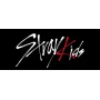 Кухоль Orca K-pop Stray Kids 330 мл Чорний (0778)