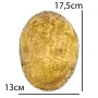 Ритуальна чаша Капала Kailash 17.5x13x6 см Сріблясто-коричневий (23858)