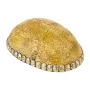 Ритуальна чаша Капала Kailash 17.5x13x6 см Сріблясто-коричневий (23858)