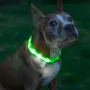 Світлодіодний нашийник для собак та котів Lesko LED USB XL Зелений (11900-69335)