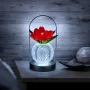 Настільна лампа Lesko Tulips Crystal ZBTSYJX0417 3 Вт Червоний (14481-96568)