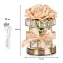 Настільна лампа LED нічник Lesko Rose Crystal YW-HP-MGMFP Champagne (14478-96605)