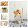 Настільна лампа LED нічник Lesko Rose Crystal KNXSTD01 Peach (14480-96603)