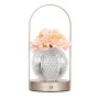 Настільна лампа LED нічник Lesko Rose Crystal KNXSTD01 Peach (14480-96603)